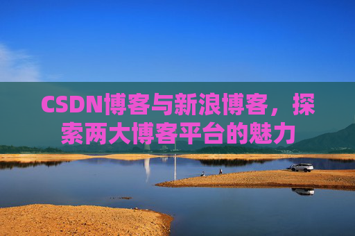 CSDN博客与新浪博客，探索两大博客平台的魅力